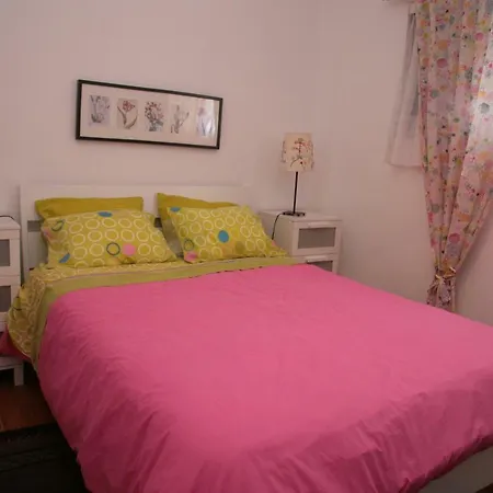 Stella's House